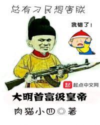 大明首席医官百科