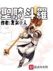 圣斗罗骑士