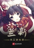 兰斯10 经验
