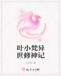 异世修神者叶圣天