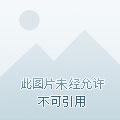 血色之都